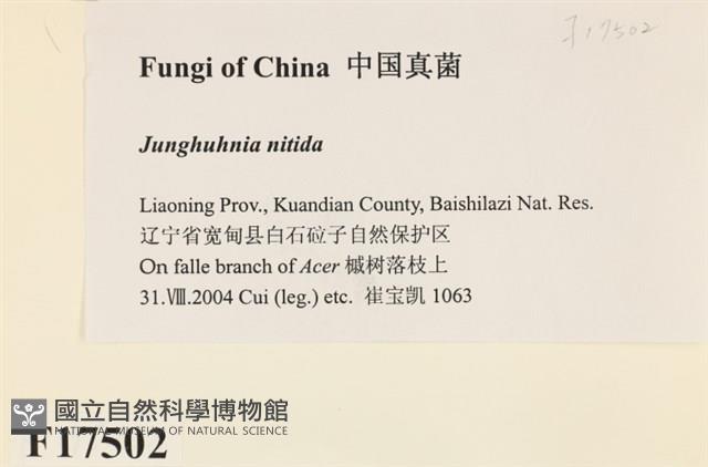登錄號:F0017502藏品圖，第2張