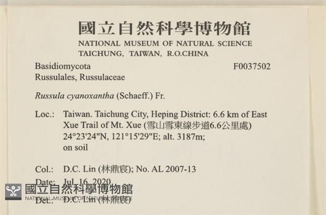 登錄號:F0037502藏品圖，第2張