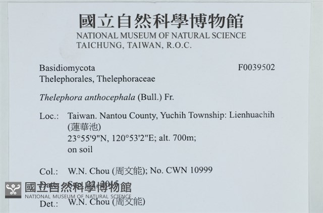 登錄號:F0039502藏品圖，第2張