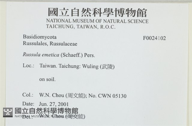 登錄號:F0024102藏品圖，第4張