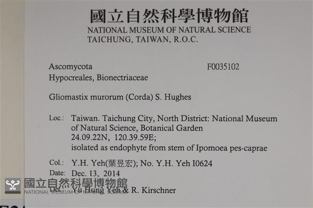 登錄號:F0035102藏品圖，第2張