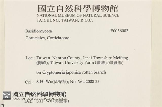 登錄號:F0036002藏品圖，第2張
