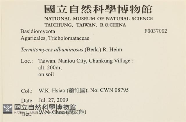 登錄號:F0037002藏品圖，第2張