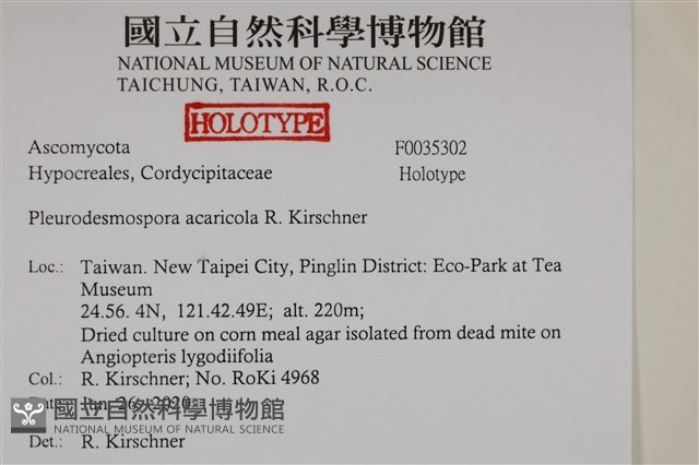 登錄號:F0035302藏品圖，第2張