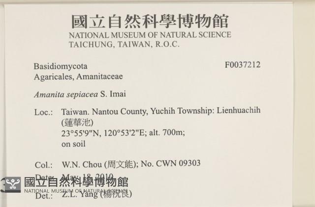 登錄號:F0037212藏品圖，第2張