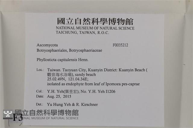 登錄號:F0035212藏品圖，第2張