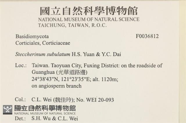 登錄號:F0036812藏品圖，第2張