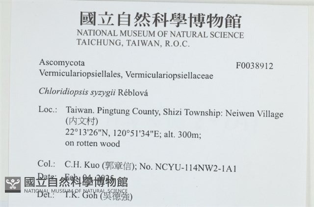 登錄號:F0038912藏品圖，第2張