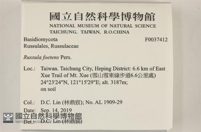 登錄號:F0037412藏品圖，第2張