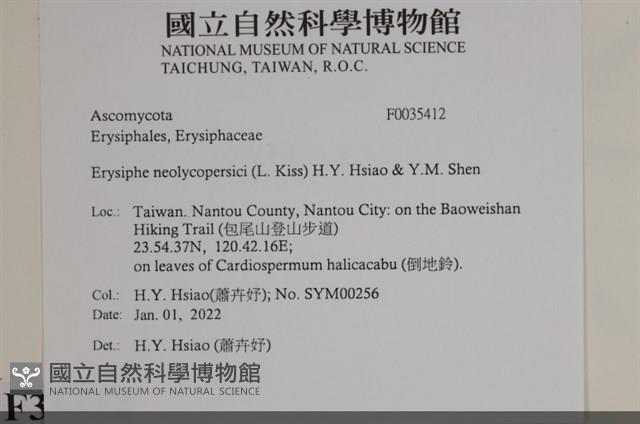 登錄號:F0035412藏品圖，第2張