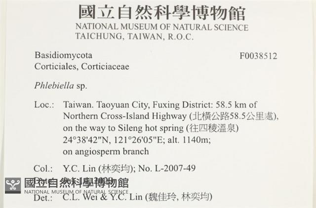 登錄號:F0038512藏品圖，第2張