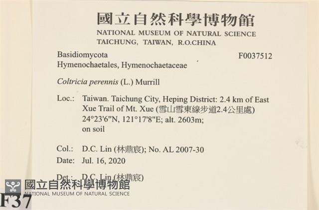 登錄號:F0037512藏品圖，第2張