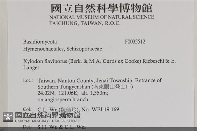 登錄號:F0035512藏品圖，第2張