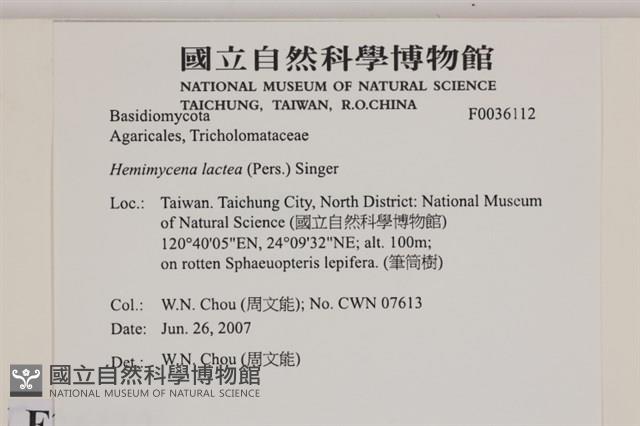 登錄號:F0036112藏品圖，第2張