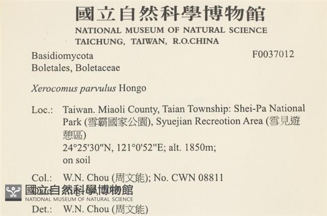 登錄號:F0037012藏品圖，第2張