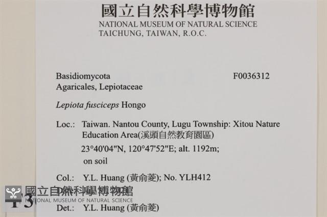 登錄號:F0036312藏品圖，第2張