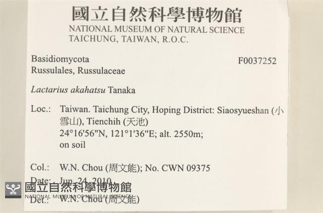 登錄號:F0037252藏品圖，第2張