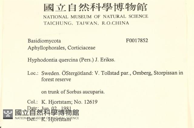 登錄號:F0017852藏品圖，第2張
