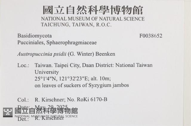 登錄號:F0038652藏品圖，第2張