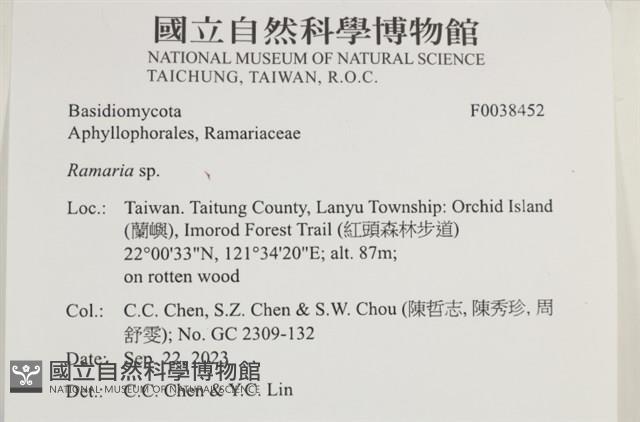 登錄號:F0038452藏品圖，第2張