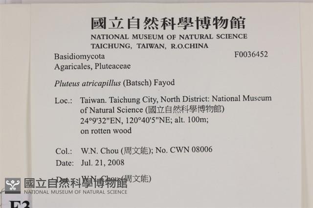 登錄號:F0036452藏品圖，第2張