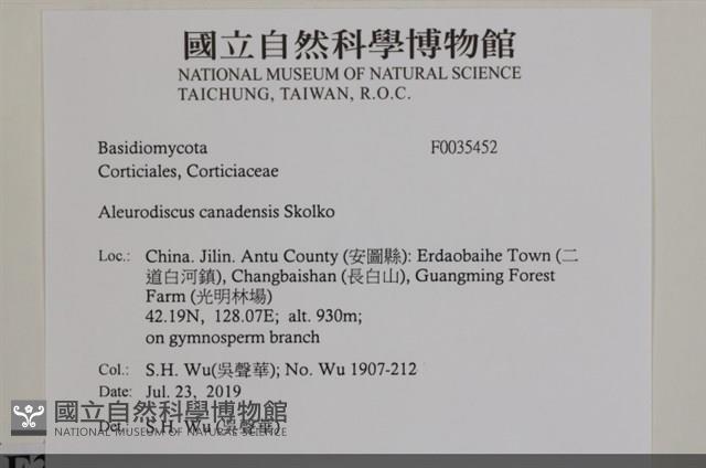 登錄號:F0035452藏品圖，第2張