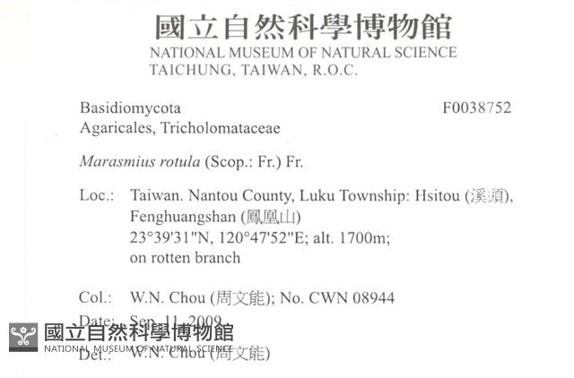 登錄號:F0038752藏品圖，第2張