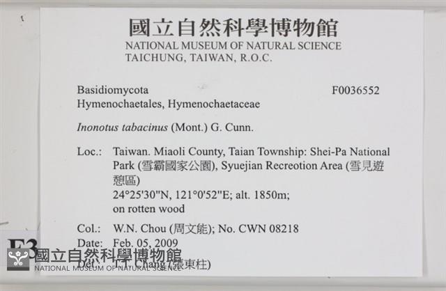 登錄號:F0036552藏品圖，第2張