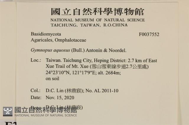 登錄號:F0037552藏品圖，第2張