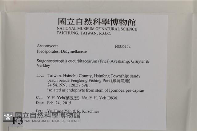 登錄號:F0035152藏品圖，第2張