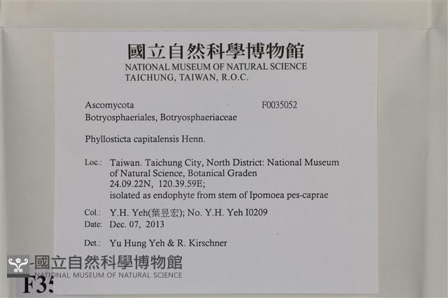 登錄號:F0035052藏品圖，第2張