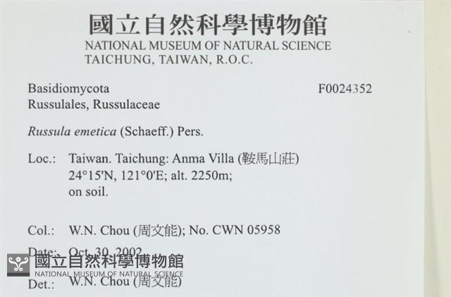 登錄號:F0024352藏品圖，第4張