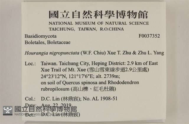 登錄號:F0037352藏品圖，第2張