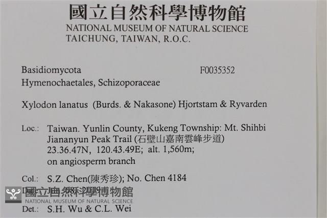 登錄號:F0035352藏品圖，第2張