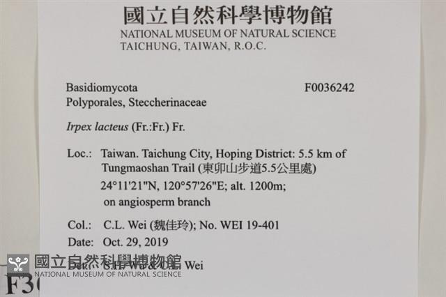 登錄號:F0036242藏品圖，第2張