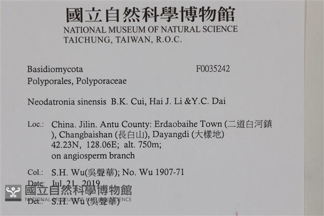 登錄號:F0035242藏品圖，第2張