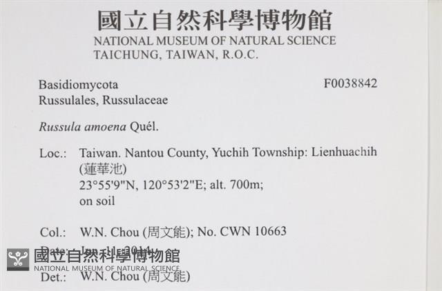 登錄號:F0038842藏品圖，第2張