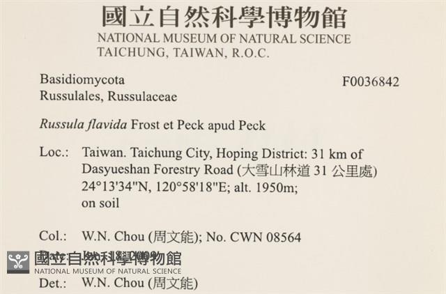 登錄號:F0036842藏品圖，第2張