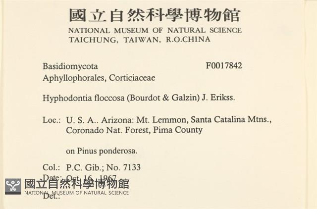 登錄號:F0017842藏品圖，第2張