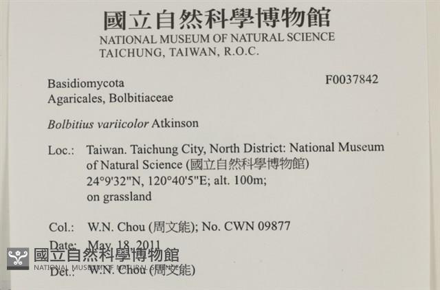 登錄號:F0037842藏品圖，第2張