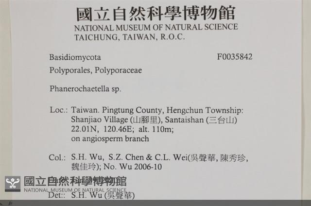 登錄號:F0035842藏品圖，第2張