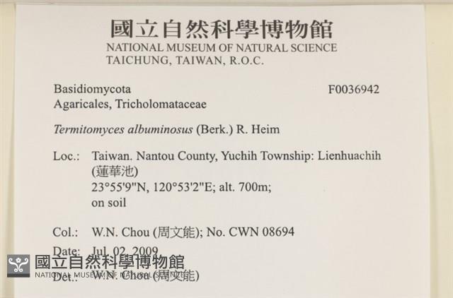 登錄號:F0036942藏品圖，第2張