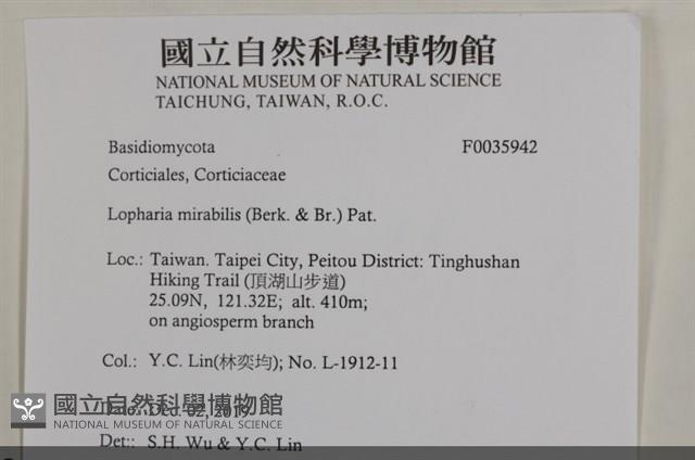 登錄號:F0035942藏品圖，第2張