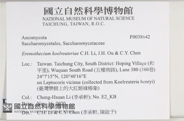 登錄號:F0038642藏品圖，第2張