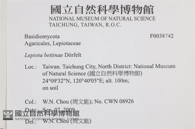 登錄號:F0038742藏品圖，第2張