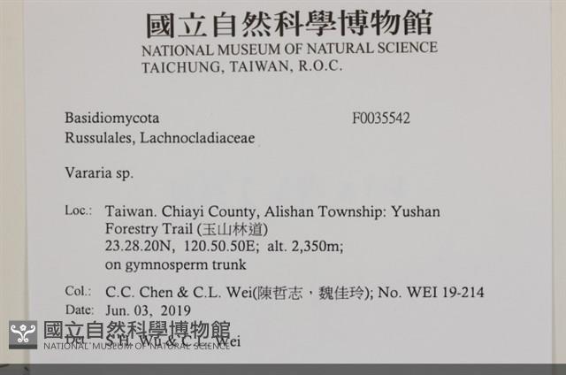 登錄號:F0035542藏品圖，第2張