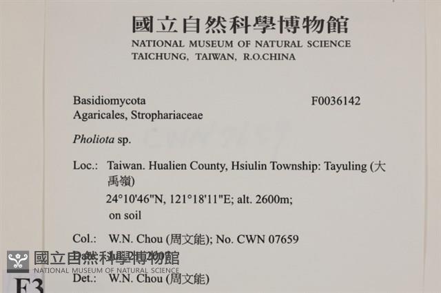 登錄號:F0036142藏品圖，第2張