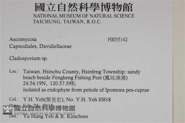 登錄號:F0035142藏品圖，第2張