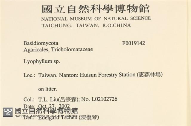 登錄號:F0019142藏品圖，第2張