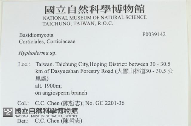 絲皮菌屬藏品圖，第1張